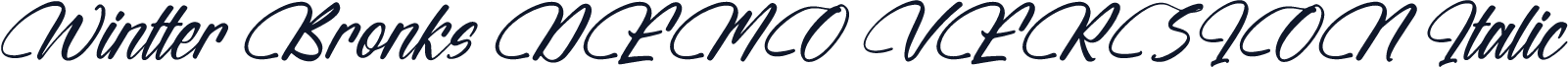 Wintter Bronks DEMO VERSION Italic