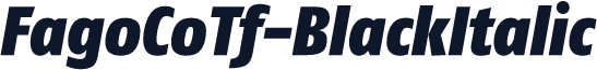 FagoCoTf-BlackItalic