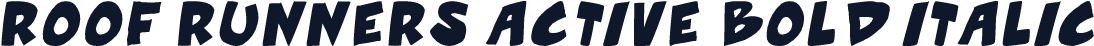 Roof runners active Bold Italic