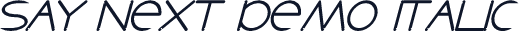 Say Next Demo Italic
