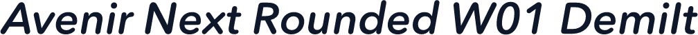 Avenir Next Rounded W01 DemiIt