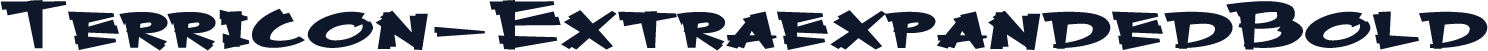 Terricon-ExtraexpandedBold