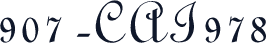 907-CAI978