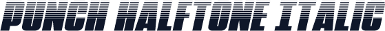 Punch Halftone Italic