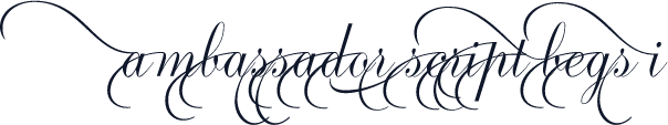 Ambassador Script Begs I