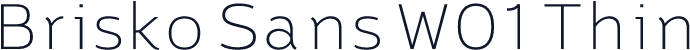 Brisko Sans W01 Thin