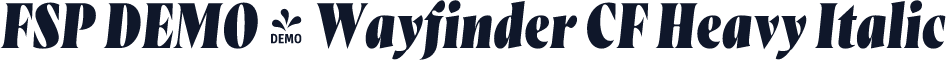FSP DEMO - Wayfinder CF Heavy Italic