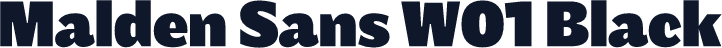 Malden Sans W01 Black