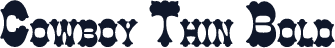 Cowboy Thin Bold