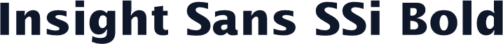 Insight Sans SSi Bold