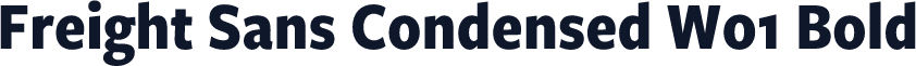 Freight Sans Condensed W01 Bold