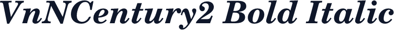 VnNCentury2 Bold Italic