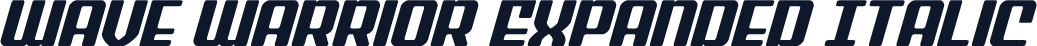 Wave Warrior Expanded Italic