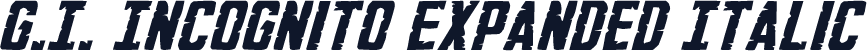G.I. Incognito Expanded Italic