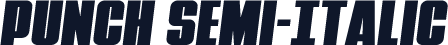 Punch Semi-Italic