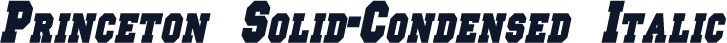Princeton Solid-Condensed Italic
