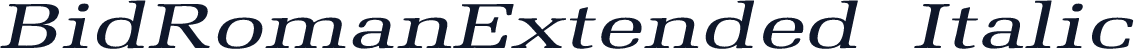 BidRomanExtended  Italic