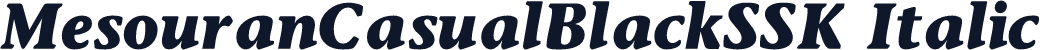 MesouranCasualBlackSSK Italic
