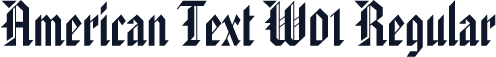 American Text W01 Regular