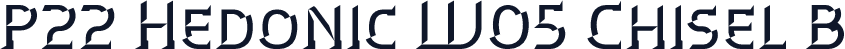 P22 Hedonic W05 Chisel B