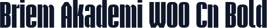 Briem Akademi W00 Cn Bold