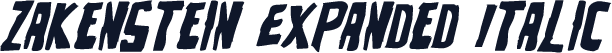Zakenstein Expanded Italic