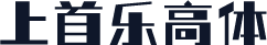 上首乐高体