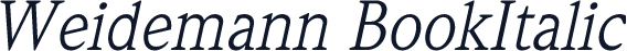 Weidemann BookItalic